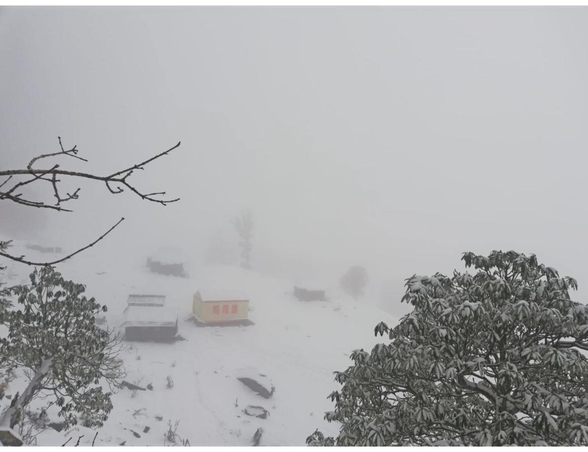 Chopta Wildlife Camps Resorts, Chopta Zewnętrze zdjęcie