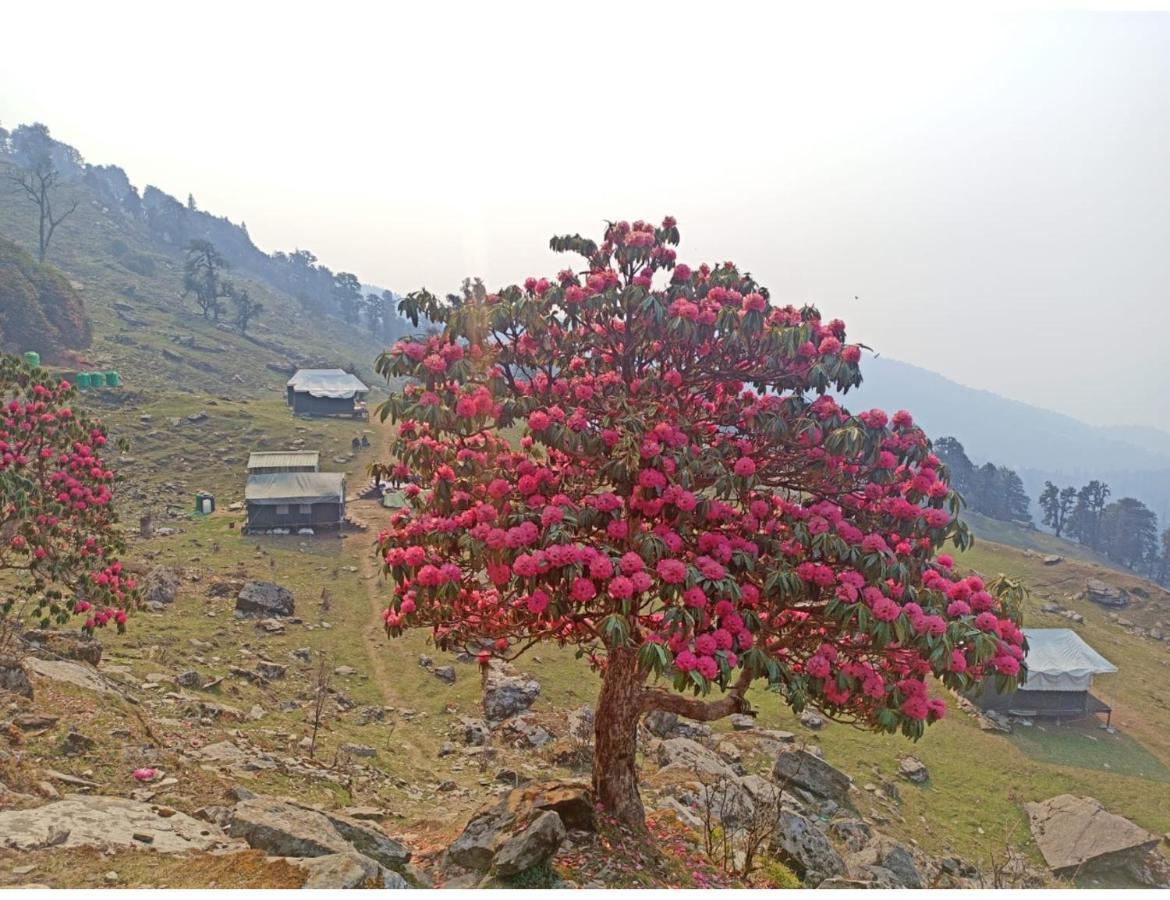 Chopta Wildlife Camps Resorts, Chopta Zewnętrze zdjęcie